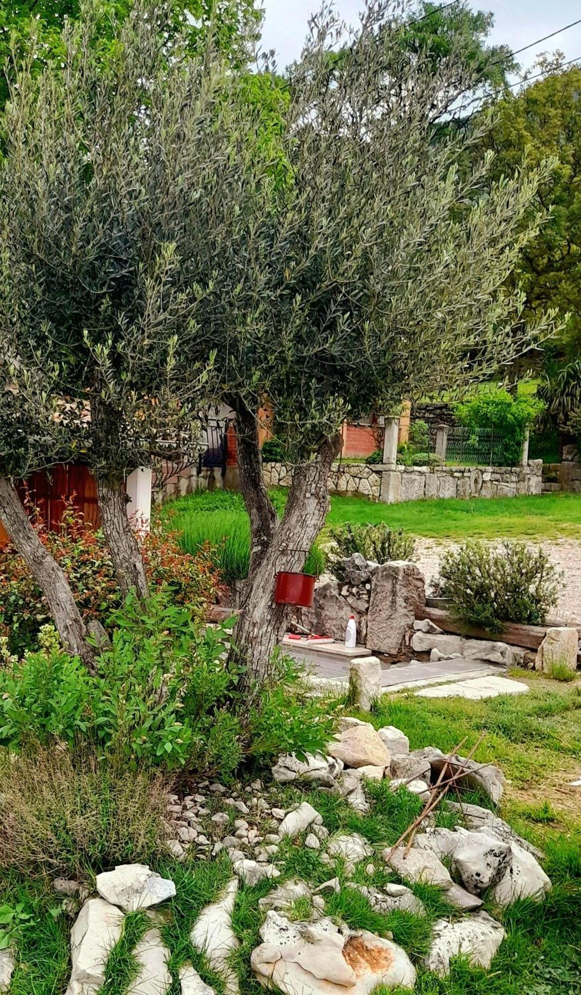 Apartamento House Lana Kršan Exterior foto